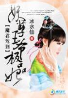 被废弃的皇妃小说免费