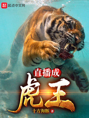 成年在视频观看插件