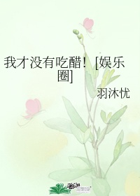 大时代国语