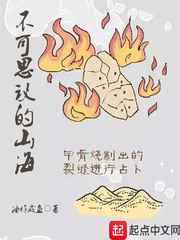 宫廷斗鸡