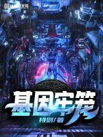 flash 软件