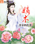 陆故之丁丁小说完整版