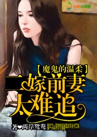 近身高手