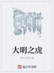 飞鸽传书2024