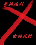 男人使劲躁女人下面的视频