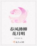 电视剧鸡毛飞上天