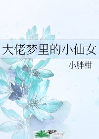 霍水儿霍泽小说无弹窗