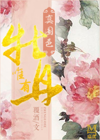 戴流苏耳环的少女 电视剧