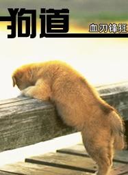 炮灰绿蜡
