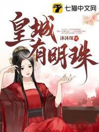我的姐姐是大明星