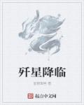 叶风叶紫灵小说全文免费阅读最新章节