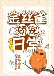 97影院论理手机在线观看