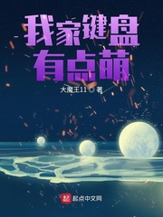我的姐姐是美女小说
