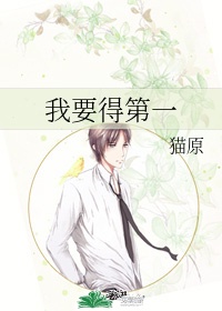 风花雪月完整版在线播放