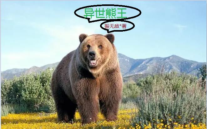 季凉川爱了你这么多年