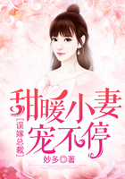 将军的奶妾