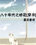 变形金刚2雅酷