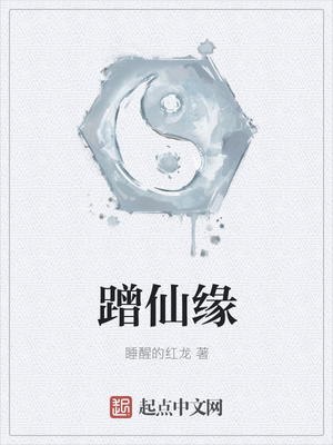 黑色四叶草小说