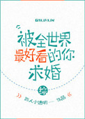 藏海花txt