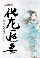 羲母在线观看 在线播放