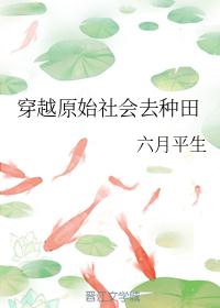 在线二区人妖系列