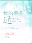 飞扬传奇