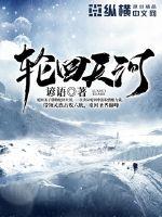 官运小说