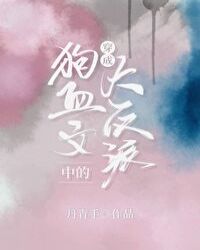 尘缘小说
