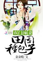 综影视同人文