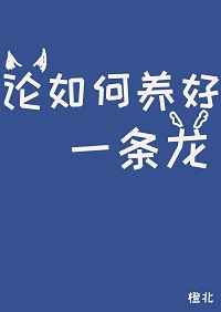 龙腾小说改名叫什么了