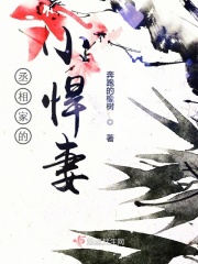 锋火佳人