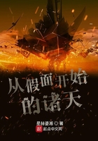 海贼王之满级系统