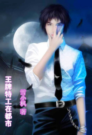 中国老妈v dos