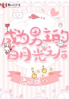 魔道祖师番外朝暮