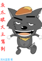 精英律师一共多少集