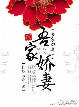 新宋小说txt下载