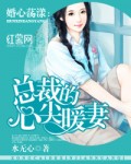 大陆青年小伙露脸飞机