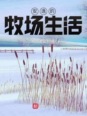 中环十三郎
