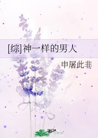 插插网站