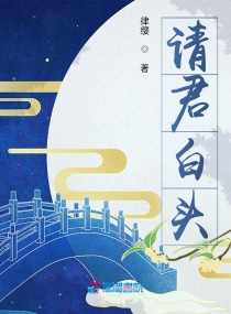 女尊之独宠病弱正君