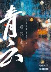 狂野少女电视剧免费播放