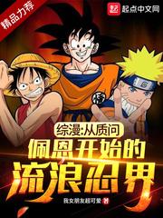 我的军统生涯小说