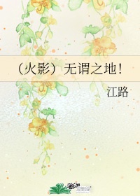 姜可金银花露txt