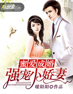专玩贵妇美妇们小说
