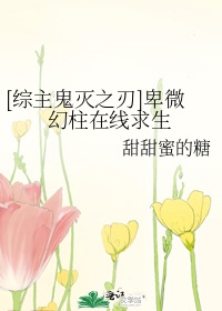 对魔忍全集免费观看动漫