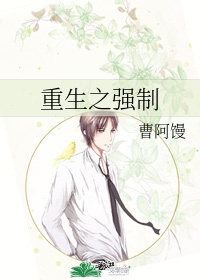 姐夫电影
