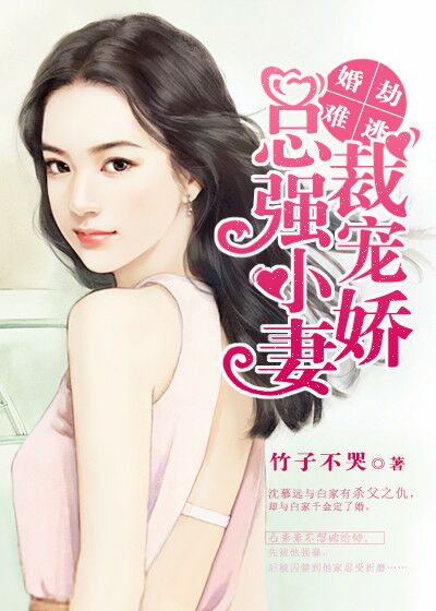 中华小当家2