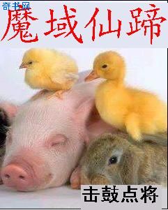 洛克王国雪娃娃