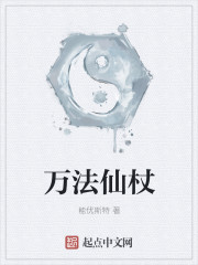 穿越之庶子的奋斗史