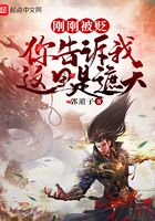 9955dcom最近十天更新